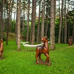 Hotel Infinity Park