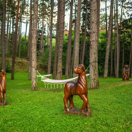 Hotel Infinity Park