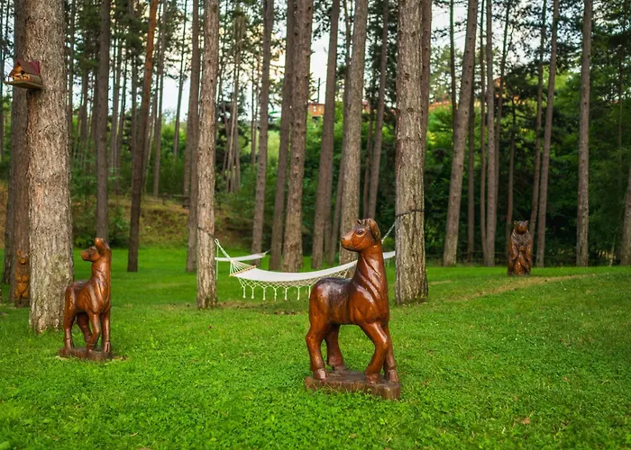 Szálloda Infinity Park