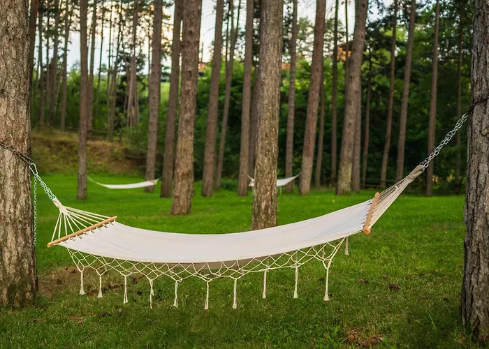 Szálloda Infinity Park